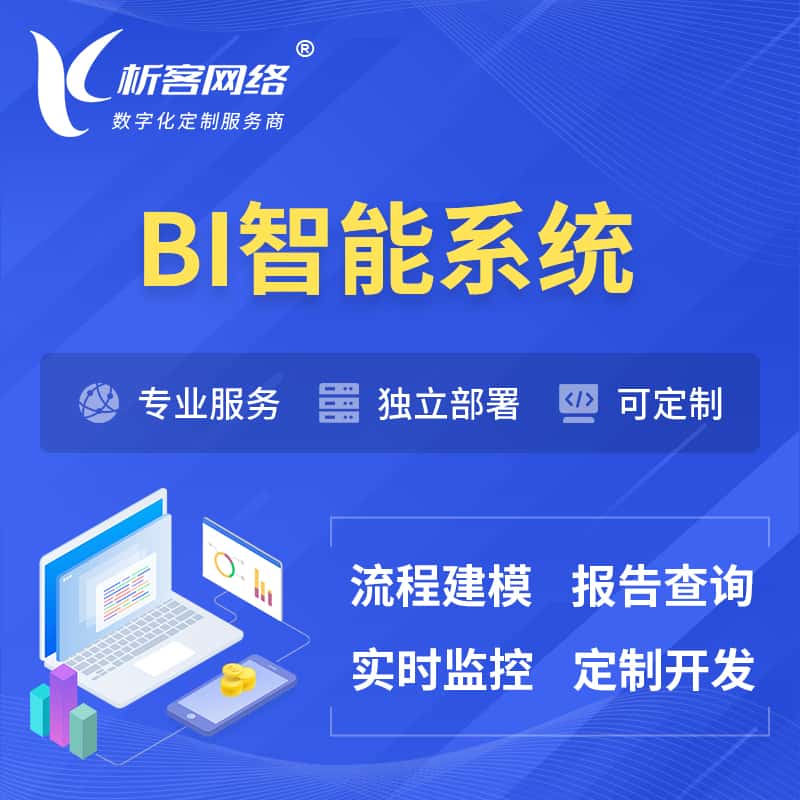湖南BI智能系统 | BI数据可视化