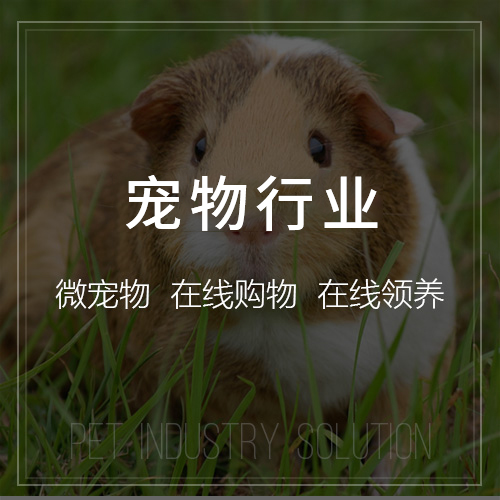 湖南高端网站定制的交互设计创新